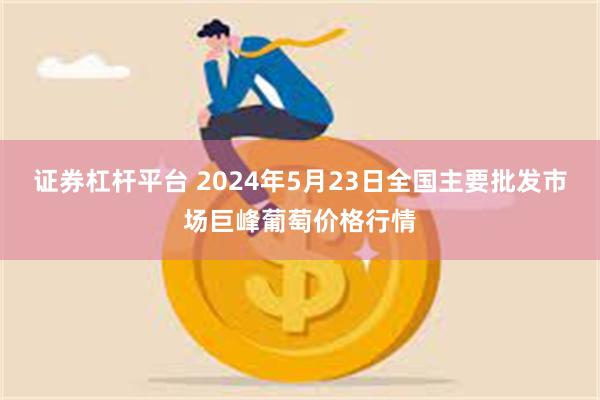 证券杠杆平台 2024年5月23日全国主要批发市场巨峰葡萄价格行情