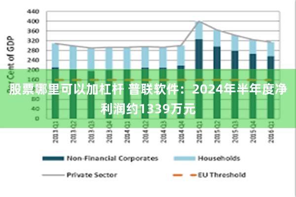 股票哪里可以加杠杆 普联软件：2024年半年度净利润约1339万元