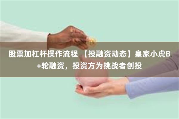 股票加杠杆操作流程 【投融资动态】皇家小虎B+轮融资，投资方为挑战者创投