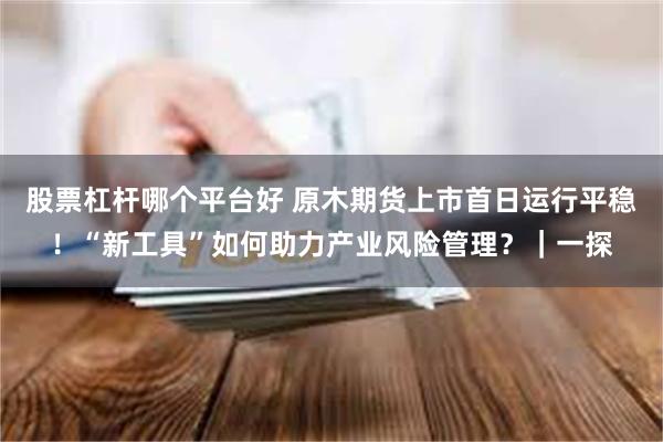 股票杠杆哪个平台好 原木期货上市首日运行平稳！“新工具”如何助力产业风险管理？｜一探
