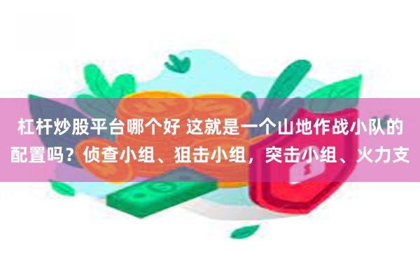 杠杆炒股平台哪个好 这就是一个山地作战小队的配置吗？侦查小组、狙击小组，突击小组、火力支