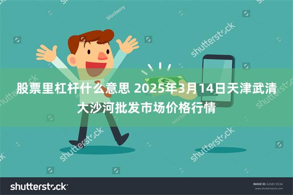 股票里杠杆什么意思 2025年3月14日天津武清大沙河批发市场价格行情
