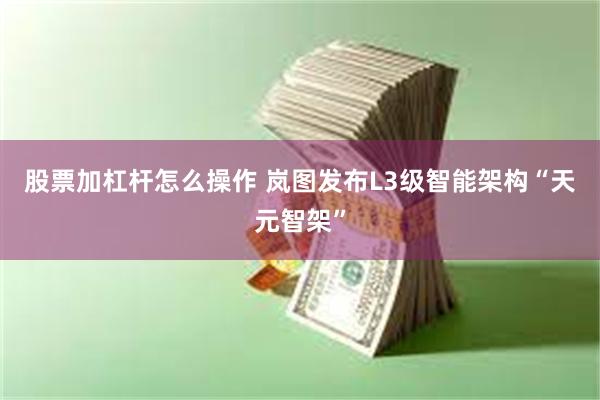 股票加杠杆怎么操作 岚图发布L3级智能架构“天元智架”
