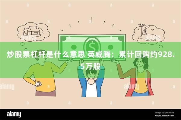 炒股票杠杆是什么意思 英威腾：累计回购约928.5万股