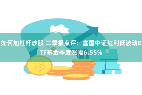 如何加杠杆炒股 二季报点评：富国中证红利低波动ETF基金季度