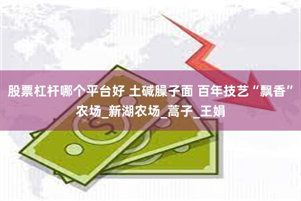 股票杠杆哪个平台好 土碱臊子面 百年技艺“飘香”农场_新湖农