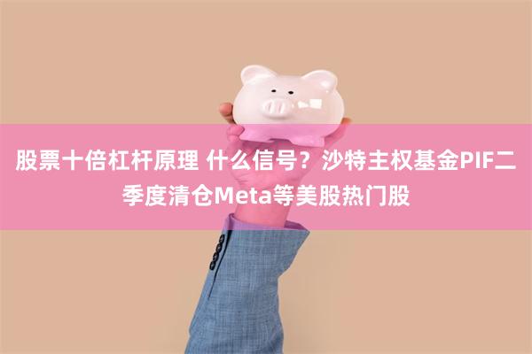 股票十倍杠杆原理 什么信号？沙特主权基金PIF二季度清仓Me