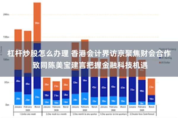 杠杆炒股怎么办理 香港会计界访京聚焦财会合作 致同陈美宝建言