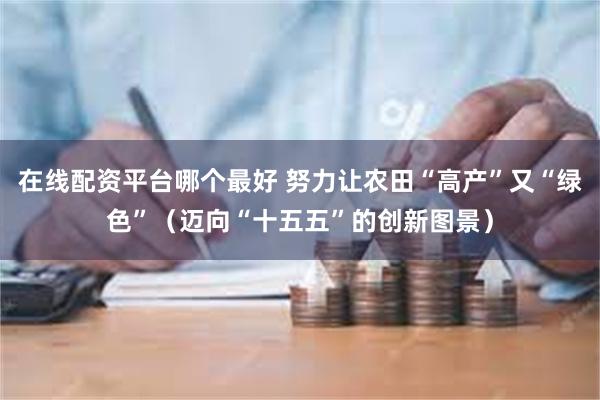 在线配资平台哪个最好 努力让农田“高产”又“绿色”（迈向“十